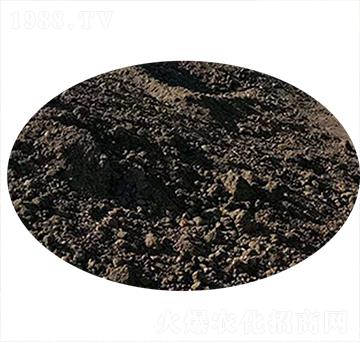 ľ��������-��������