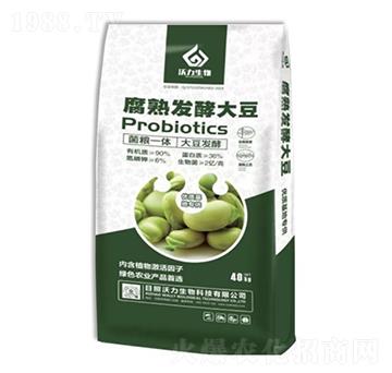 ����l(f��)�ʹ�-��������