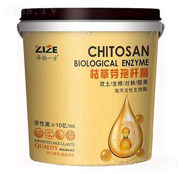 �ݲ�ѿ�ߗU��-���r���