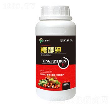 �Ǵ��-Ӣ���~��(r��n)