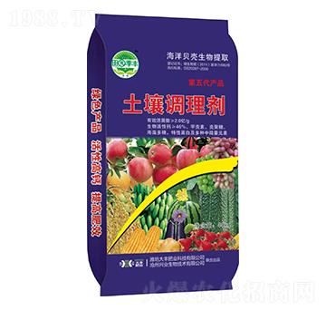 �����{�턩-��@���S-���S�ʘI(y��)