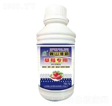 ��ݮ���÷�-��ɽ����