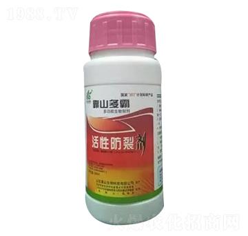 ���Է��ф�-��ɽ����