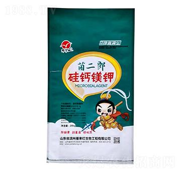 ���}�V�-������-����t