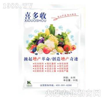 ϲ����-����ֲ��