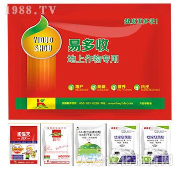 �������(zhu��n)��-�׶���-����ֲ��