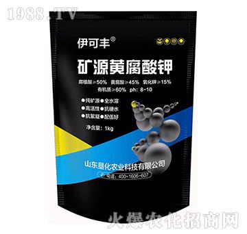 �VԴ�S�����-�����S-����