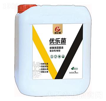 ��(y��u)����-��֮��