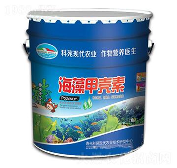 ����ך���-�۹��Է