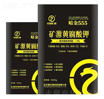 �VԴ�S�����-����555-�|�S¡