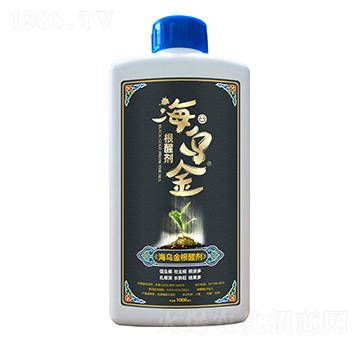 ��������ф�-��������