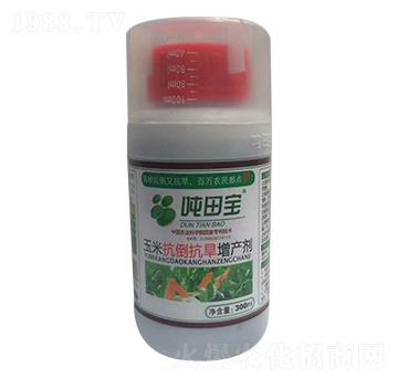 ���׿����������a��-���-�����S��