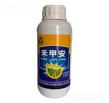 �̼װ�-��������