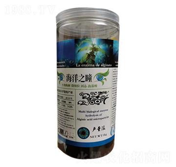 ����ø��̑B(t��i)������-����֮ͫ-���r(n��ng)��(li��n)