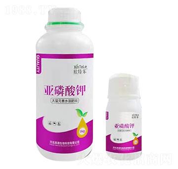 �������-���ؘ�-껵»���