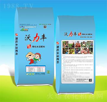 �����S-�n��ʘI(y��)