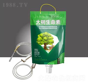 ���(sh��)������-��M(m��n)�}(c��ng)