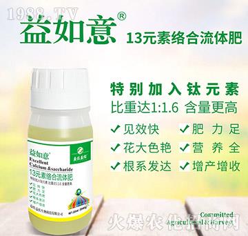 13Ԫ�ؽj�����w��-������-��������