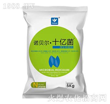 ΢�������-�Zؐ����ʮ