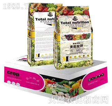 �VԴ�S�����-�����ʘI(y��)