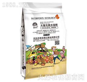 ����Ԫ��ˮ�ܷ�20-20-20-�����ʘI(y��)