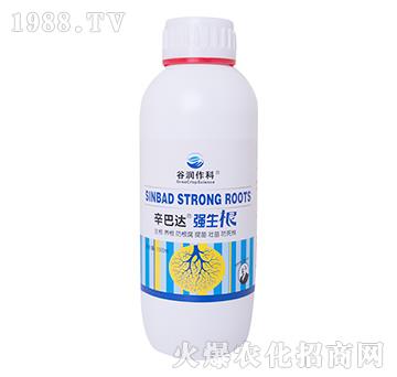 ������-�����_(d��)-�ȝ�����