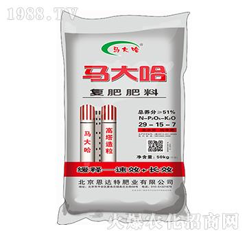 �ͺϷ���29-15-7-�R���