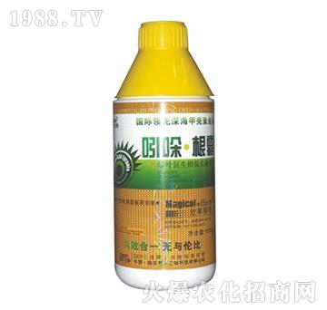 �������-� �����