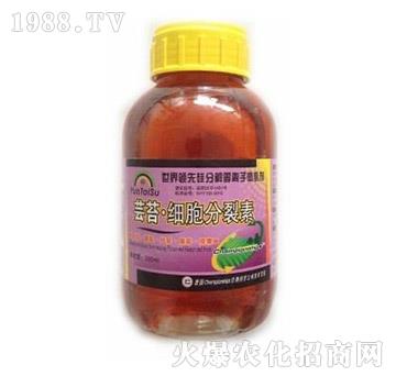 �|̦��(x��)��������-� ���