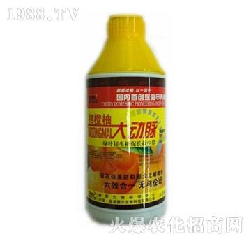 �۳��ִ��(d��ng)�}-� �����