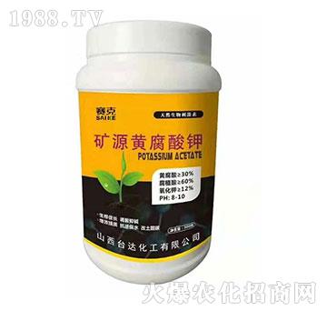 �VԴ�S�����-ِ��-�_�_