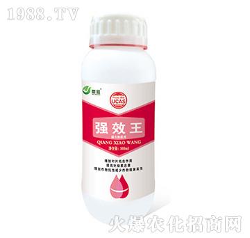 ��Ч��-΢��-���S���