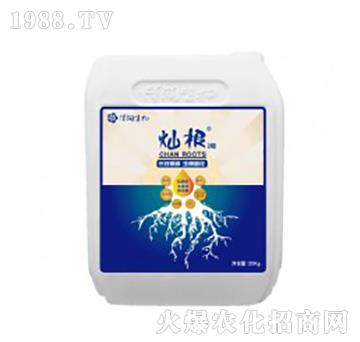 ����Ԫ��ˮ�ܷ���-�N��2̖(h��o)-�ɝ�(r��n)