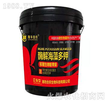 ø�⺣����-���A���r(n��ng)