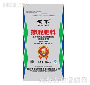 �������19-19-19-������