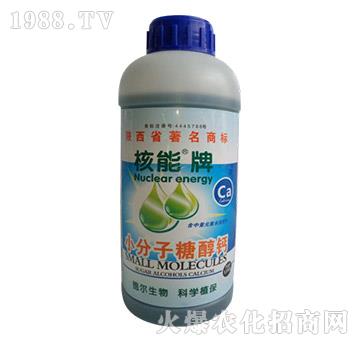 ������С�����Ǵ��}-��