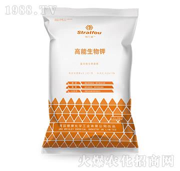 ���������-ʩ����-�к̄���