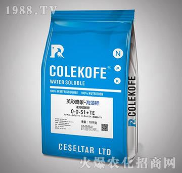 ���������-0-0-51+TE-Ӣ������-����