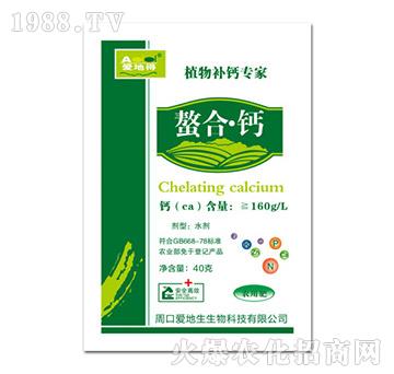 ���ϡ��}-�۵ص�-�۵���