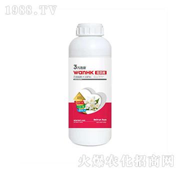 ��ؐ��-�f�ݿ�