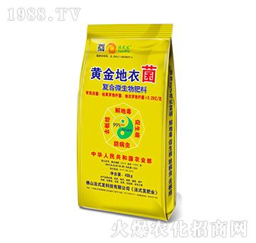 �S����¾��ͺ�΢�������-��ʽ�l(f��)