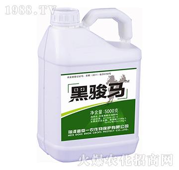 ���E�R������Һ�w����-����