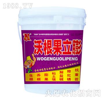 �ָ�������-��������