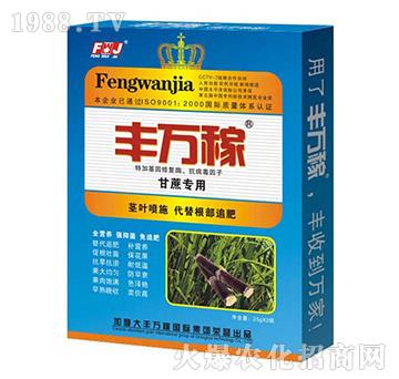 ���ጣ(zhu��n)�÷�-����������