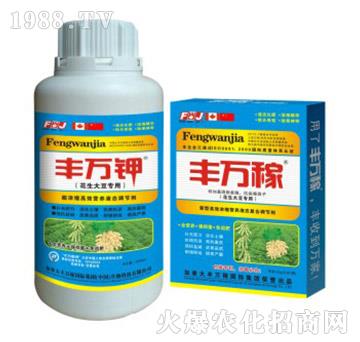 �����󶹌�(zhu��n)�÷�-���俹