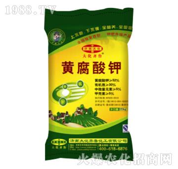 �S�����-���R��