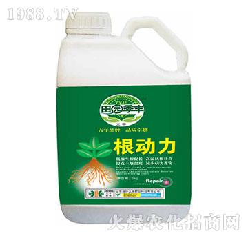 ������-��@���S-���S�ʘI(y��)