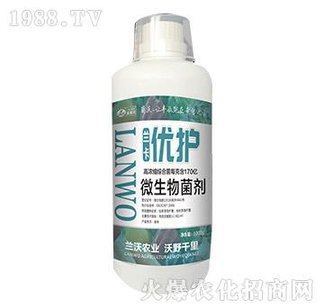 ΢�������-�m����(y��u)�o(h��)-