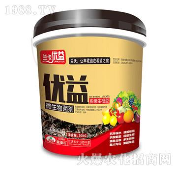 ���������΢�������-