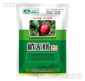 120g�ҟo�n-�W�m��